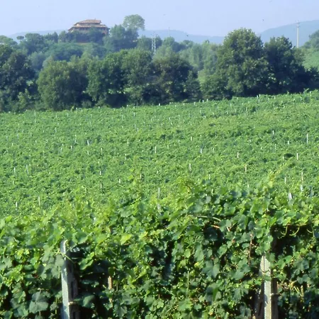 Palazzo Bandino - Wine Cellar, On Reservation Restaurant And Farm stay