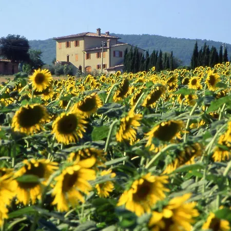 Farm stay Palazzo Bandino - Wine Cellar, On Reservation Restaurant And *